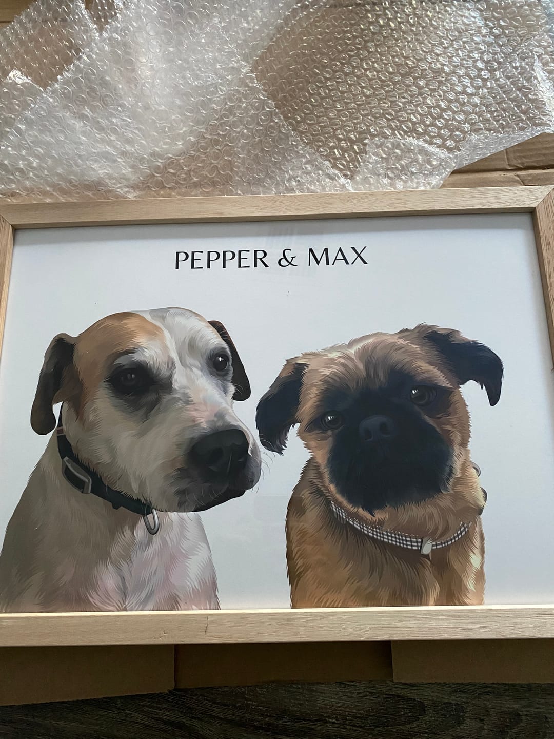 Customer photo review of Two-Pet Portrait