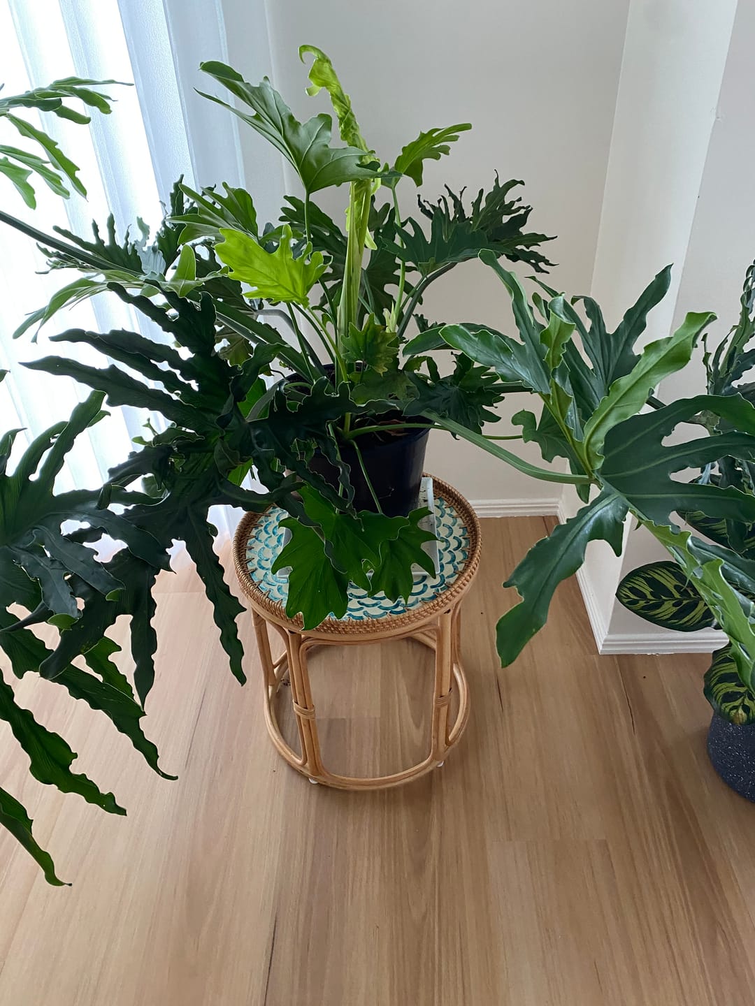 Customer photo review of Bloom Rattan Table