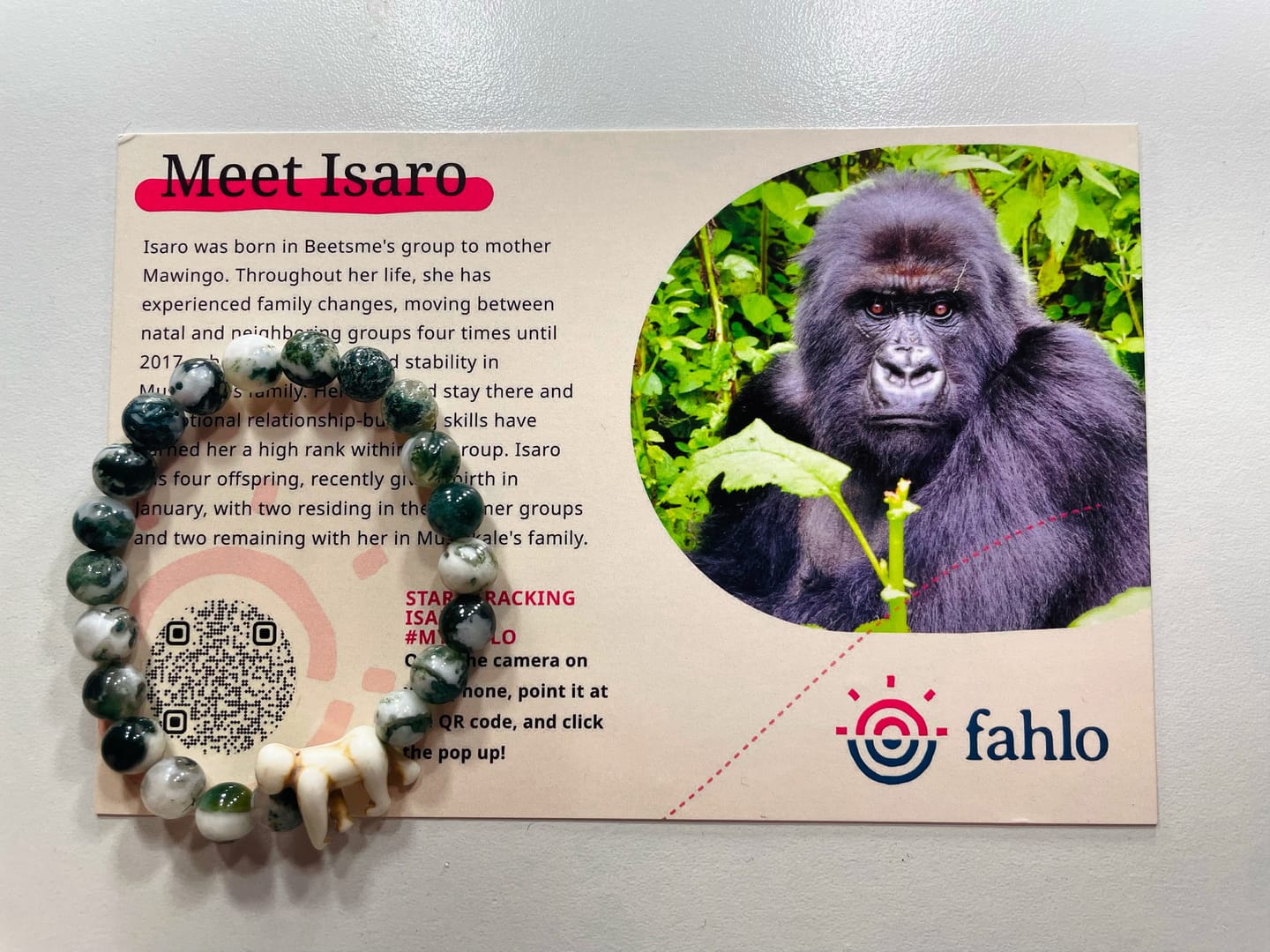 Customer photo review of The Traverse Bracelet
