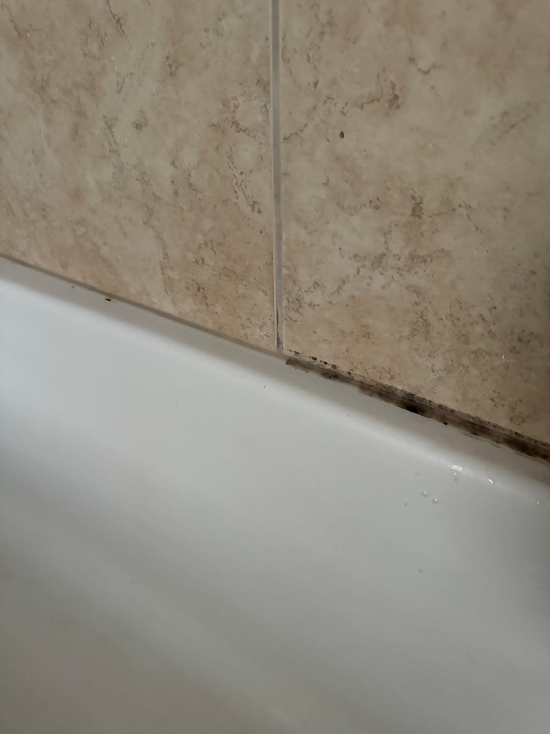 Customer photo review of GLASSGUARD™ Miracle Mold Removal Gel