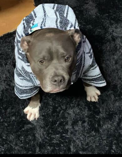 Customer photo review of Playa Poncho - Surprise Color