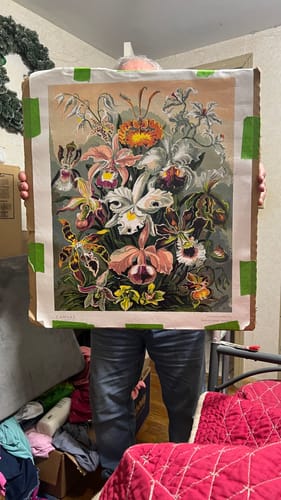 Customer photo review of Orchidae - Paint by Numbers