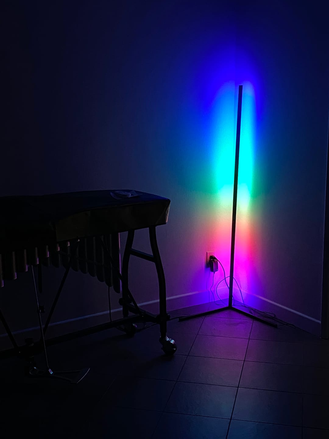 Customer photo review of LED Color Changing Light — LitLamp™
