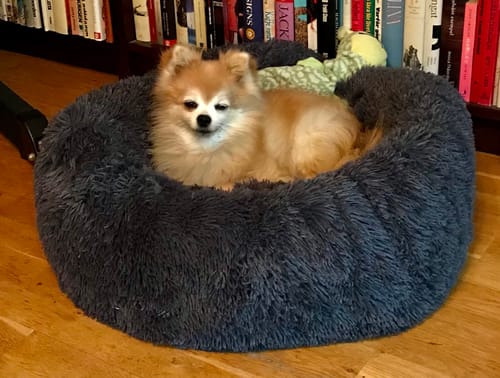 Customer photo review of CalmBed - Motverkar stress & hjälper mot ångest