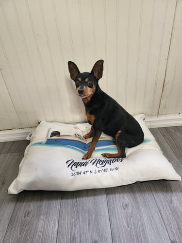 Customer photo review of Custom Indoor/Outdoor Dog Bed