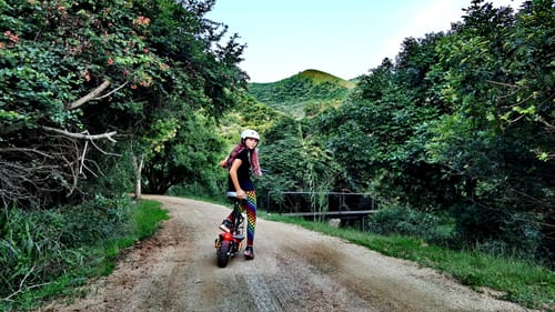 Customer photo review of Cruza 2000W electric scooter