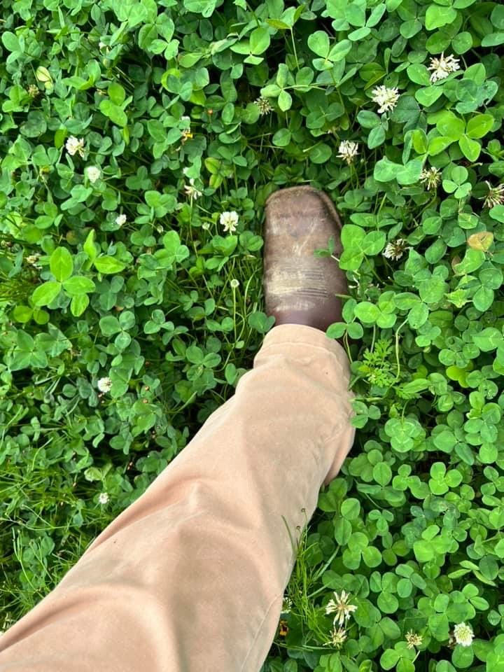 Customer photo review of COMEBACK KID™