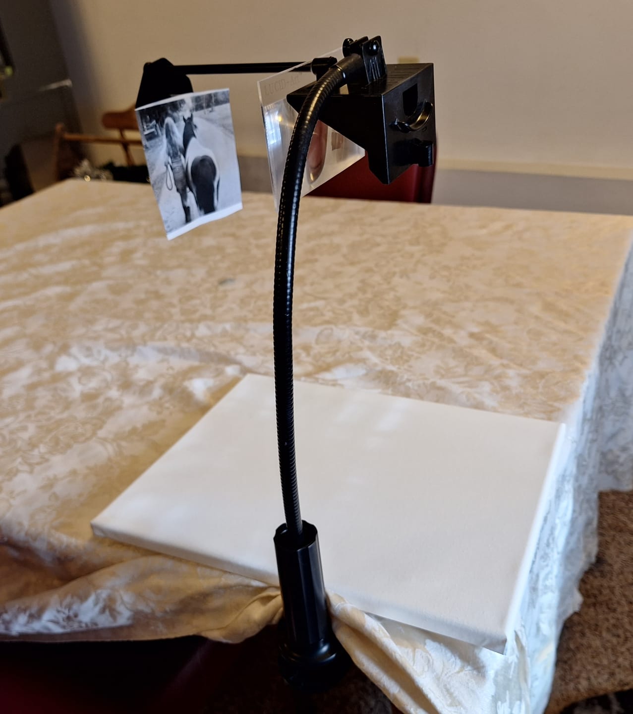 Customer photo review of LUCY mini