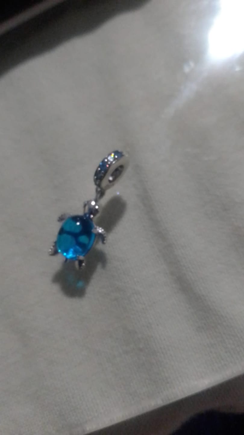 Customer photo review of Charm Tortuga
