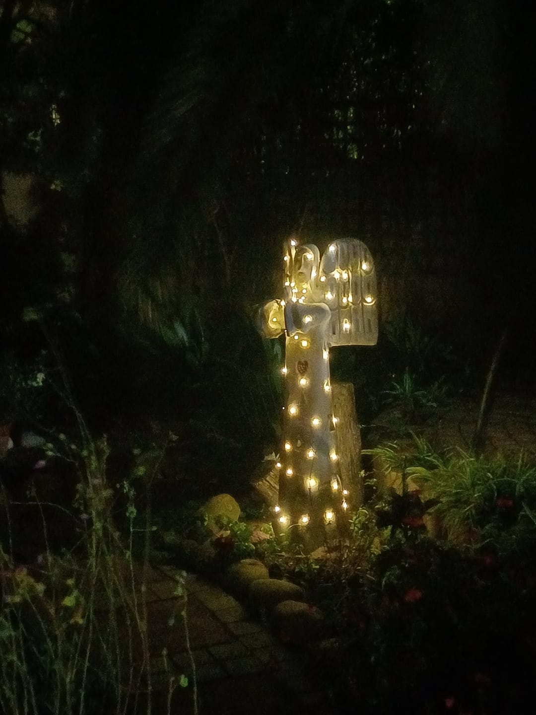 Customer photo review of Litehouse Solar LED Copper Wire Fairy Lights Warm White