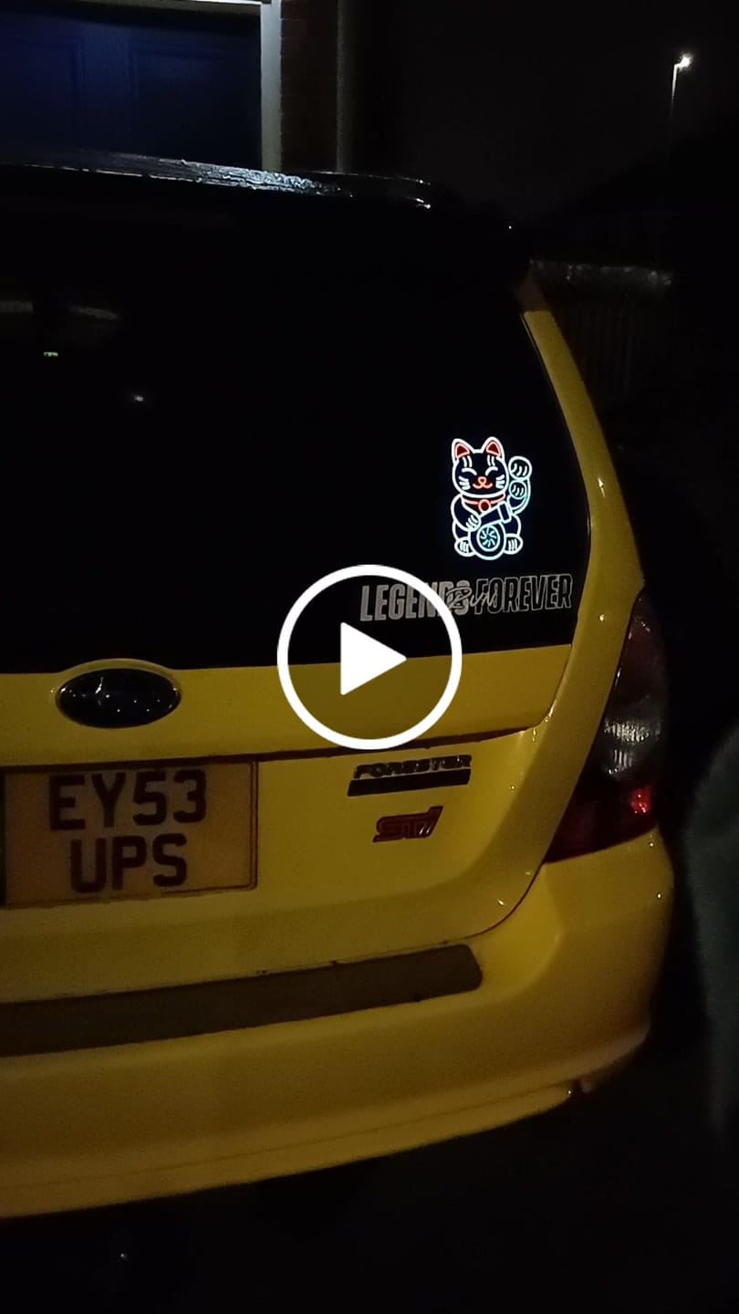 Customer video review of Lucky Cat USB Electric Sticker