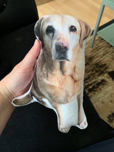 Customer photo review of Haustierförmiges Fotokissen Personalisierte Hundekissen Mein Haustierkissen