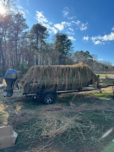 Customer photo review of Hunting Blind Raffia Grass (Pack)