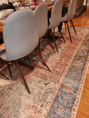 Customer photo review of Distressed Vintage Cezanne Terracotta Sky Area Rug