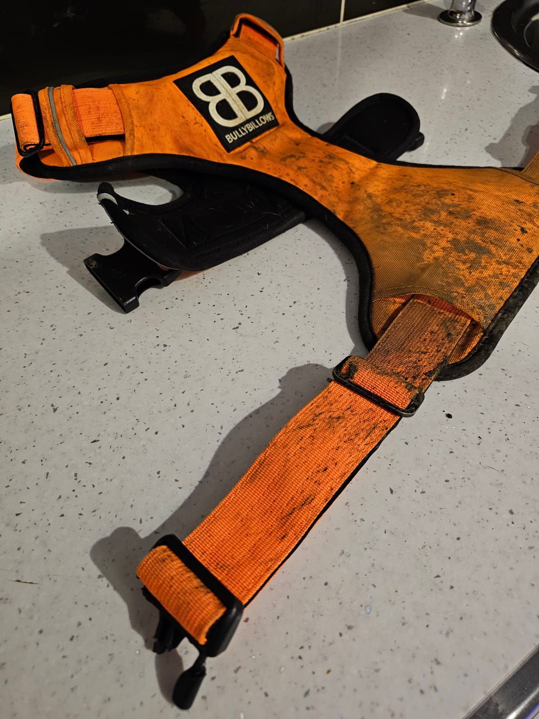 Customer photo review of Premium Comfort Harness | Non Restrictive & Adjustable - Orange v2.0