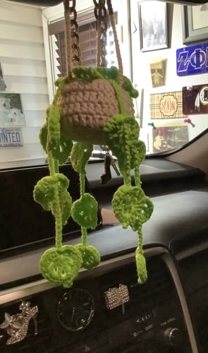 Customer photo review of Handmade Knitted Hanging Potted Plant Car Pendant
