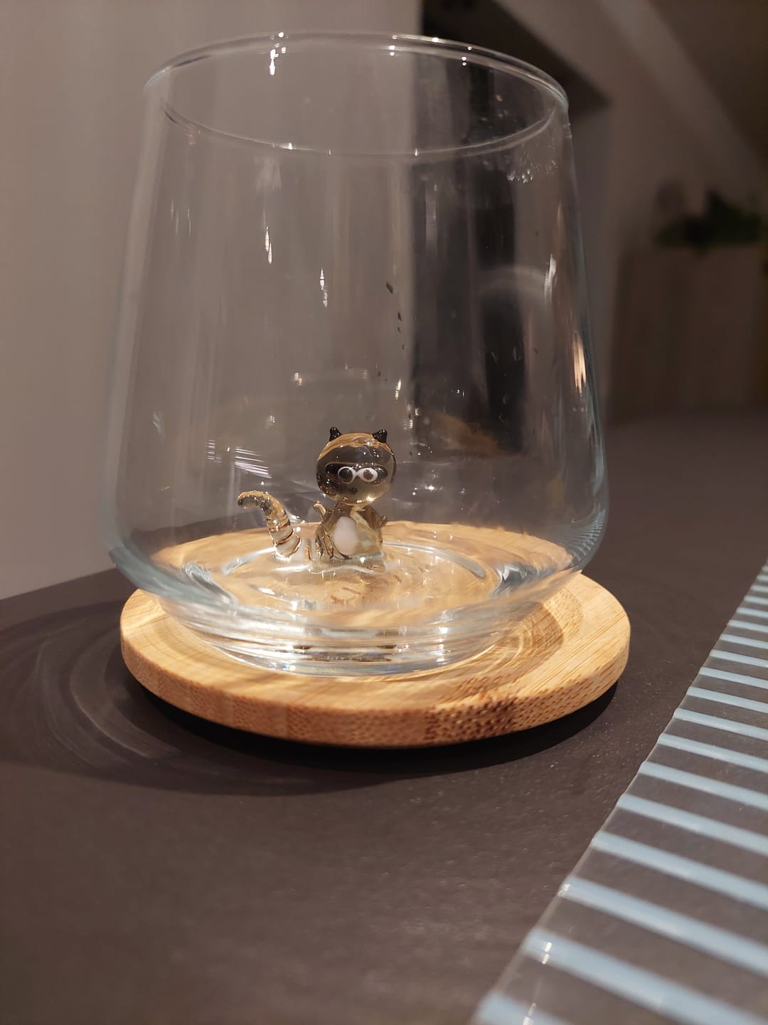 Customer photo review of Racoon Glass