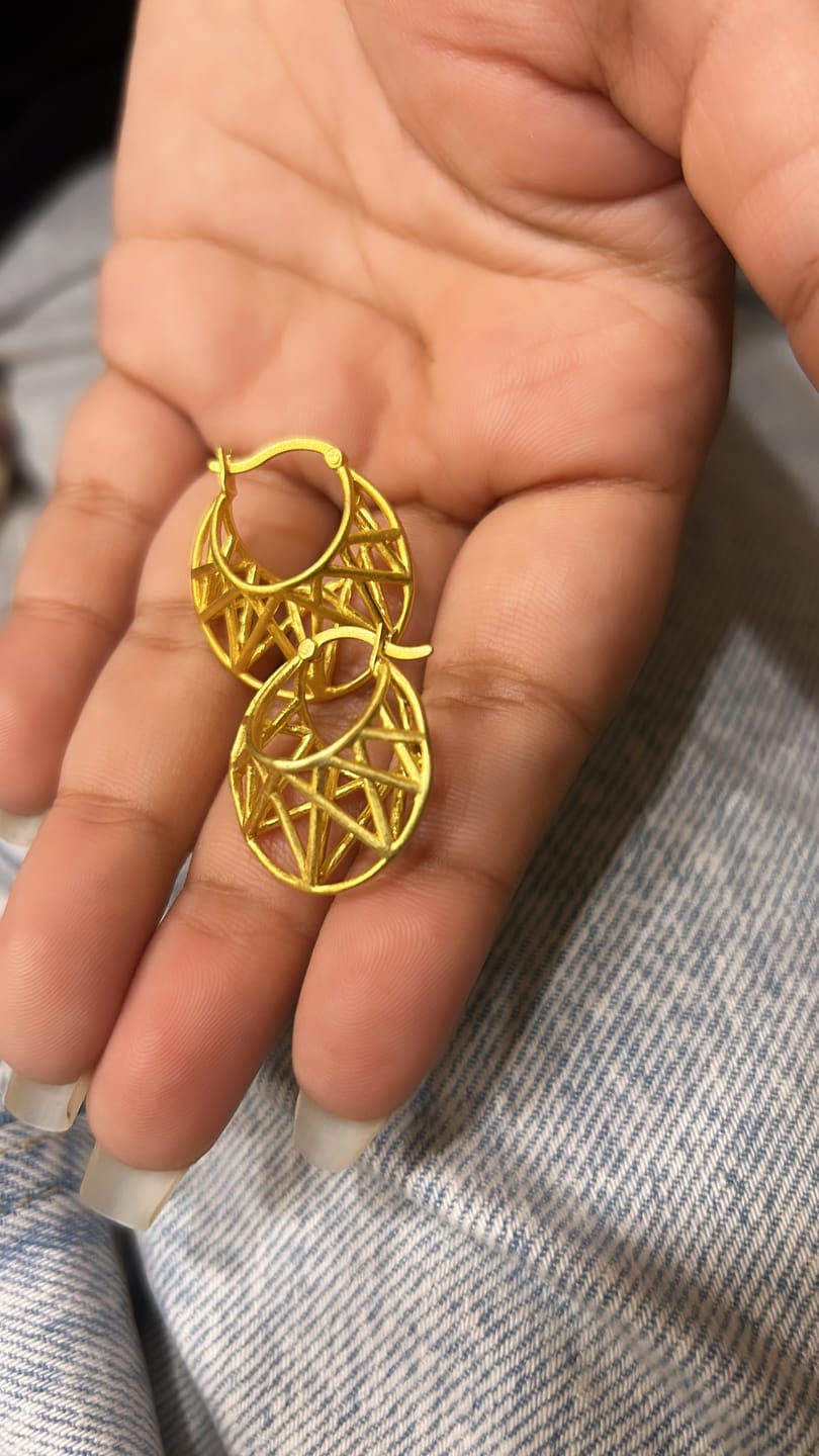 Customer photo review of Linear Earrings