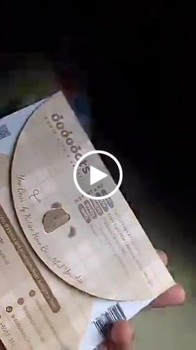 Customer video review of DODOBEAR