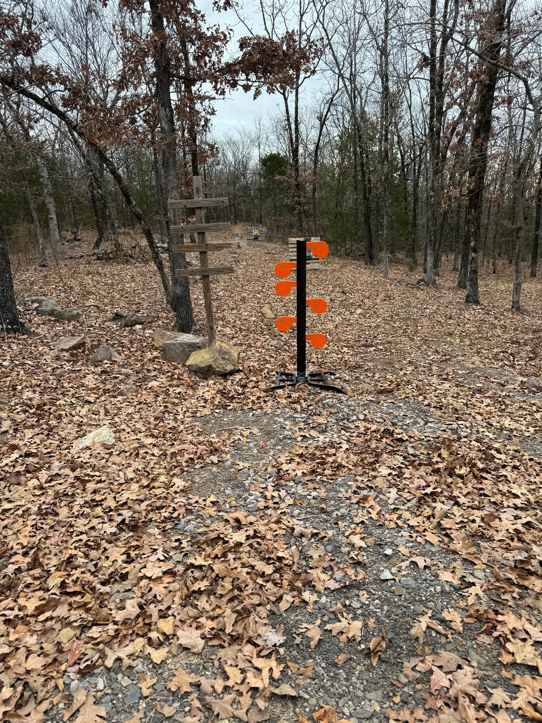 Customer photo review of 3/8" AR500 Steel Target Dueling Tree Stand