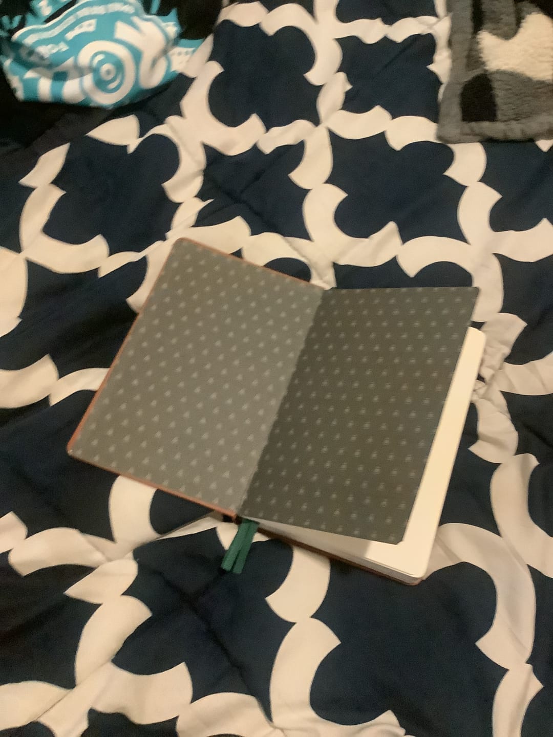 Customer photo review of Monk Manual™ 90-Day Planner
