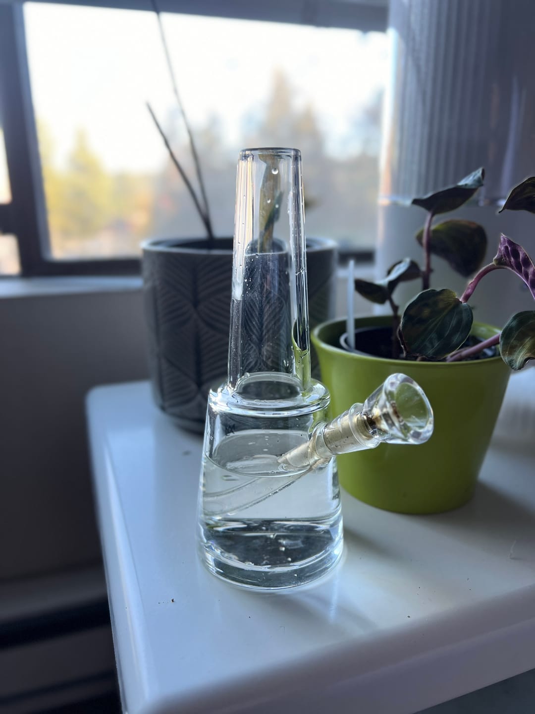 Customer photo review of Summit Bong