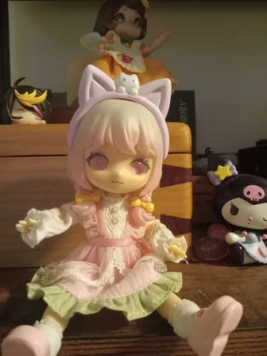 Customer photo review of Liroro Summer Island Series Action Figure BJD Blind Box