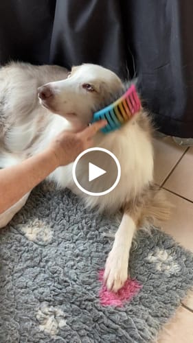 Customer video review of BROSSE DÉMÊLANTE ANTI-CASSE