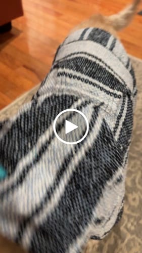 Customer video review of Playa Poncho - Surprise Color