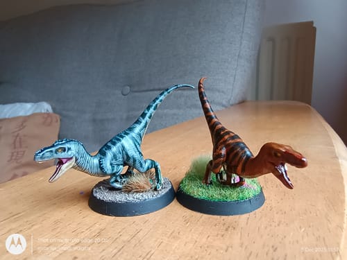 Customer photo review of Velociraptor, Variation 3, Pose 2 Miniature - Pre-Supported