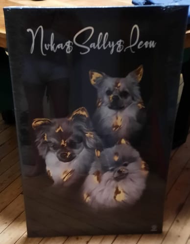 Customer photo review of Gold Pawtrait