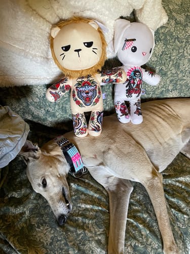 Customer photo review of Samuele the Alpha Male Lion