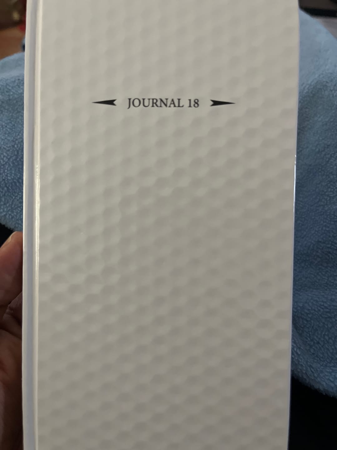 Customer photo review of The Performance Journal