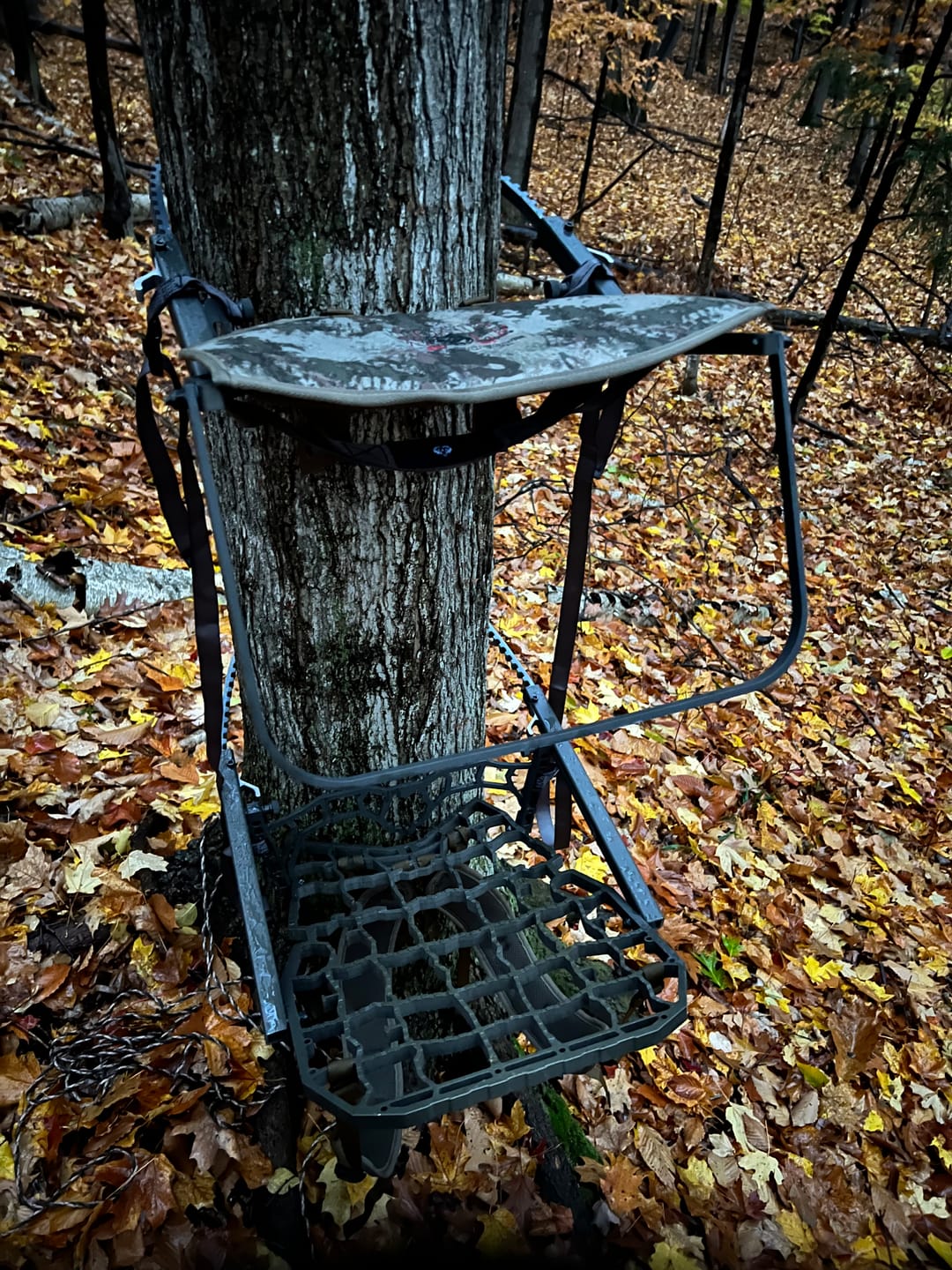 Customer photo review of Crossover™ Climber