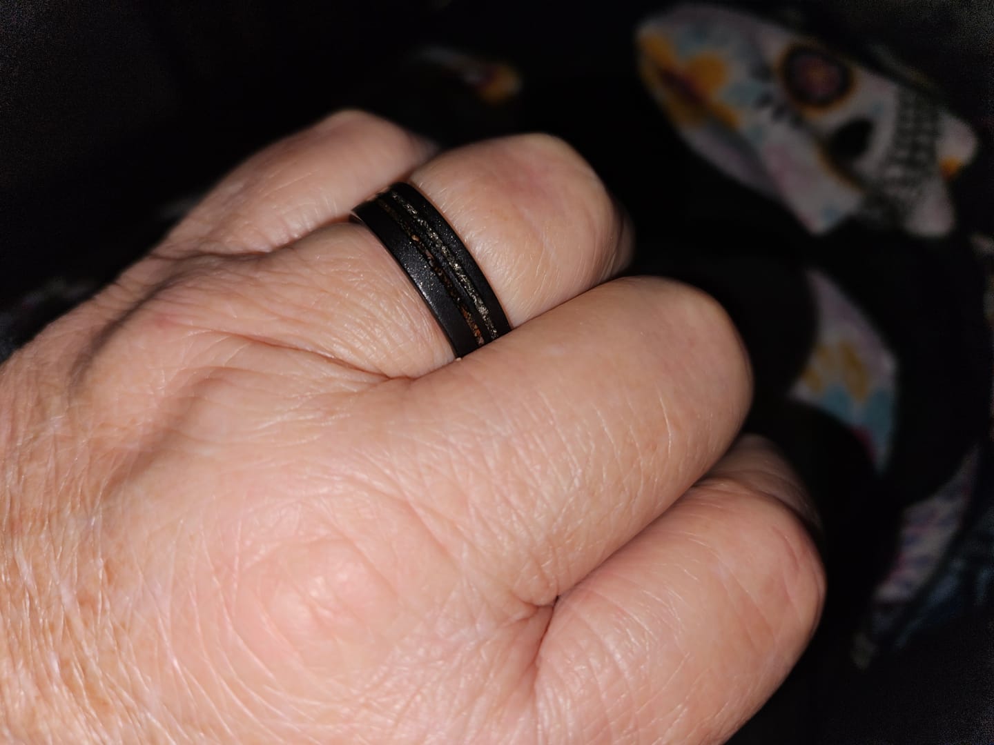 Customer photo review of The Meteorsaur