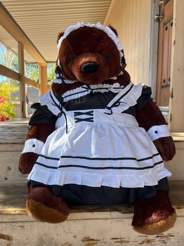 Customer photo review of THE MAID