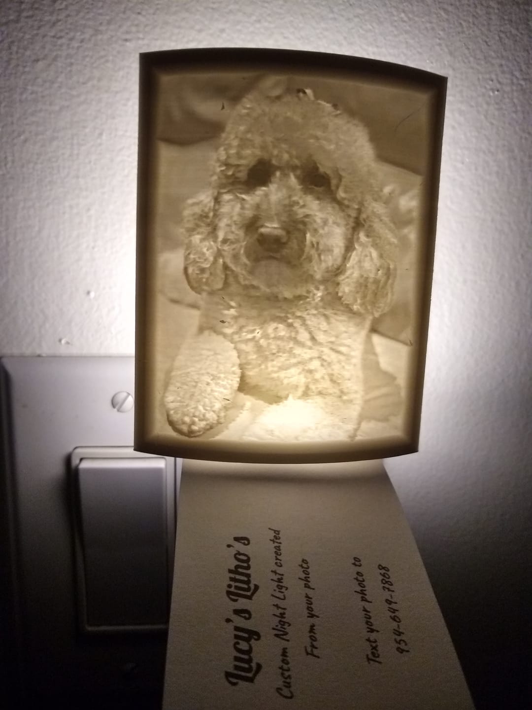 Customer photo review of Paper White PETG Filament 1.75mm