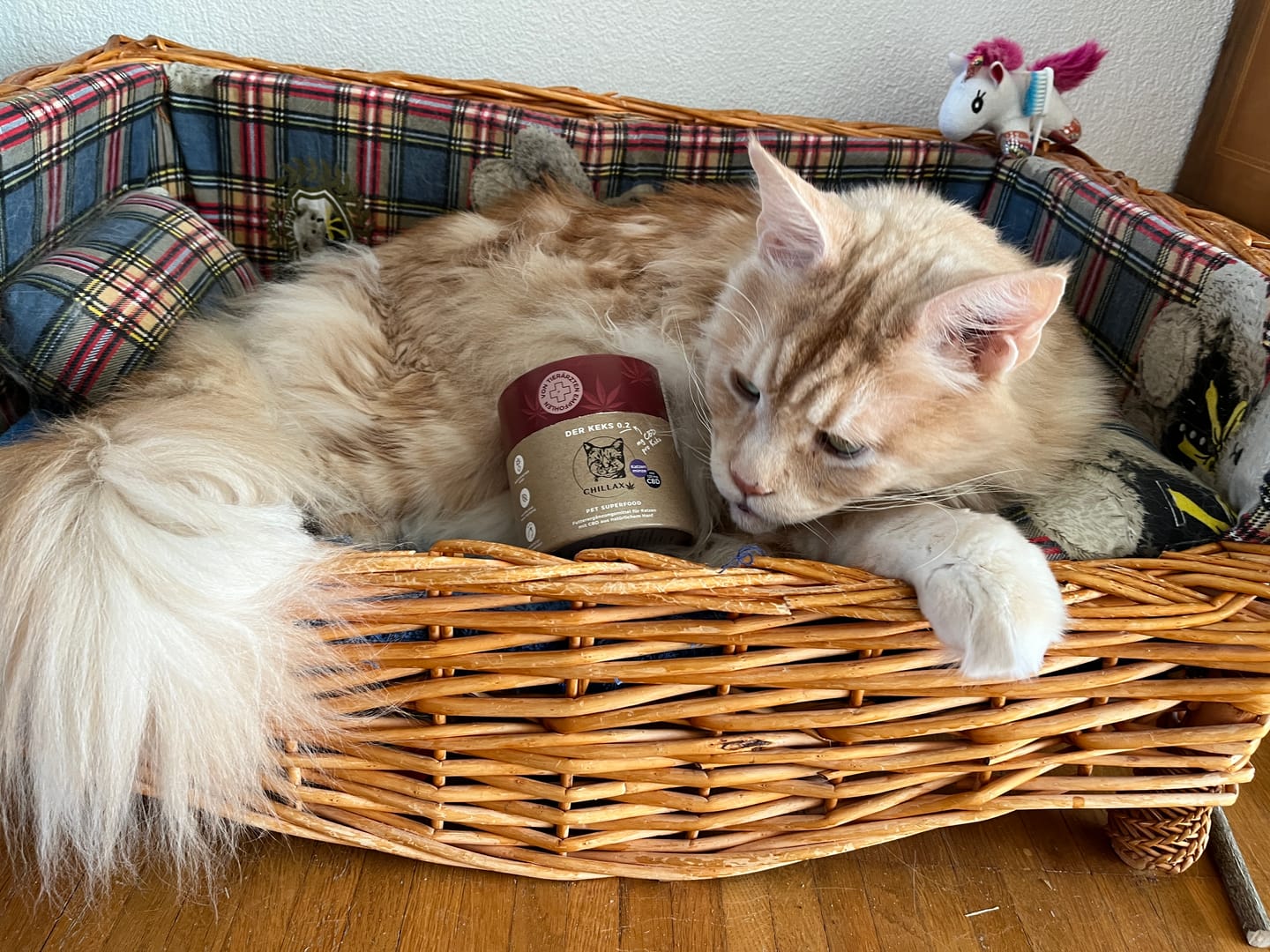 Customer photo review of Katzenkekse - Katzenminze - 0.2 mg CBD - Total 120 mg CBD