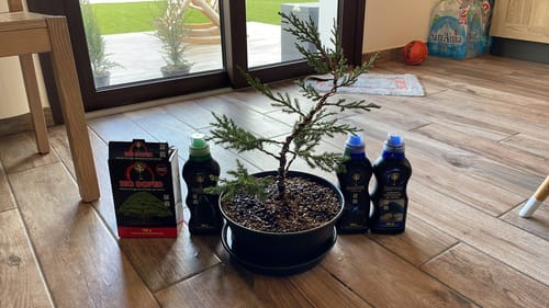 Customer photo review of DIO DEL BONSAI PACK CB®