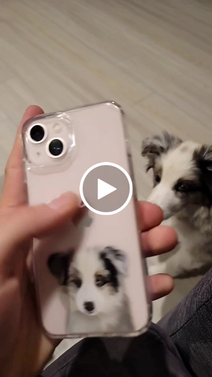 Customer video review of Custom Pet Portrait Phone Cases