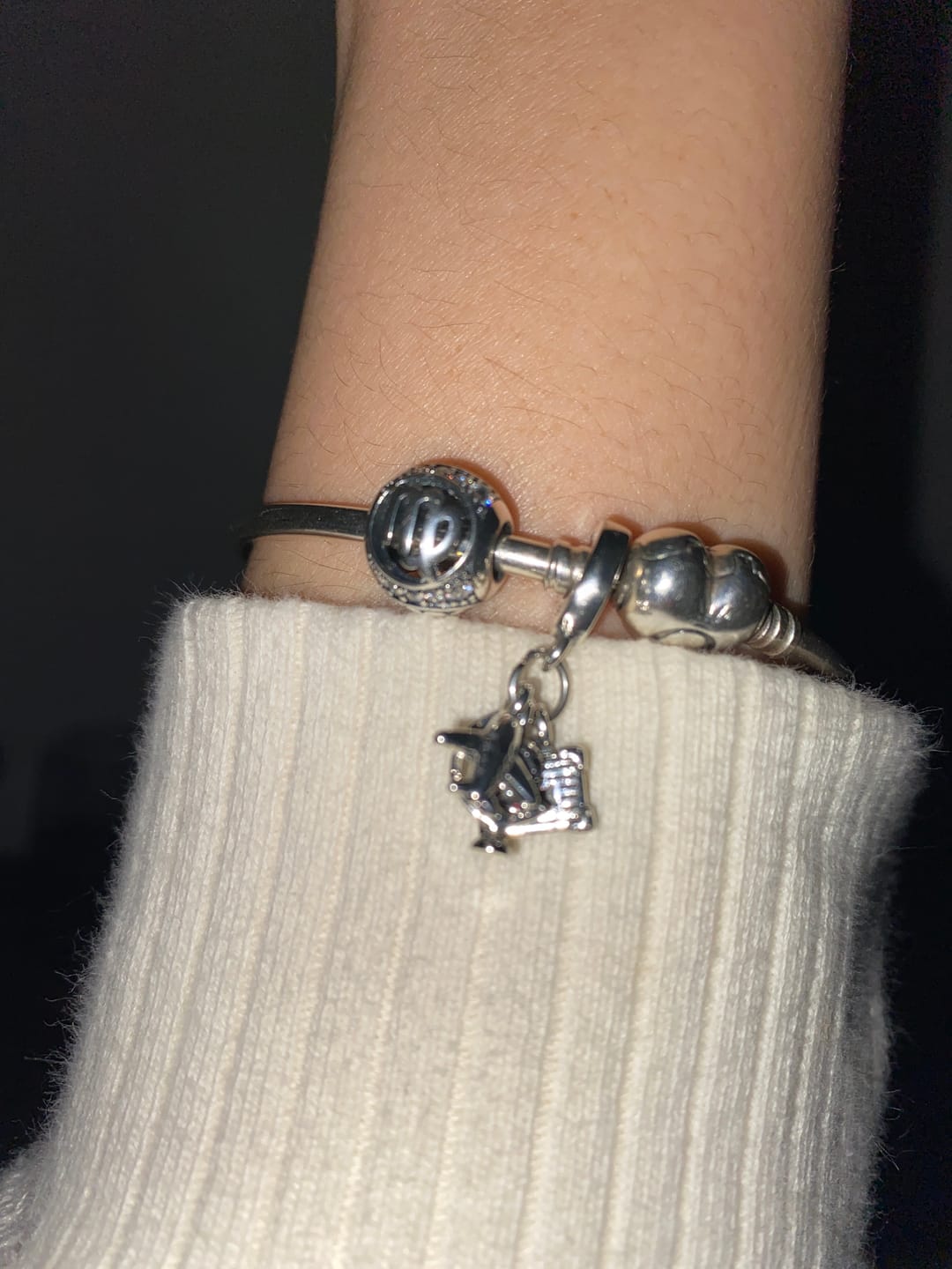 Customer photo review of Charm Horoscopo Diamantado