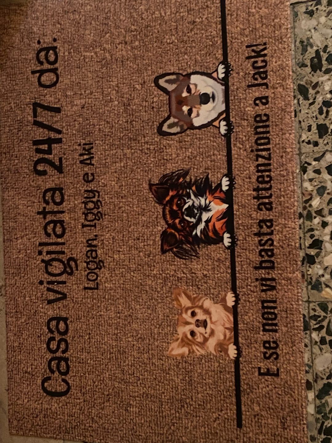 Customer photo review of Tutti i miei amici pelosi - Zerbino personalizzato