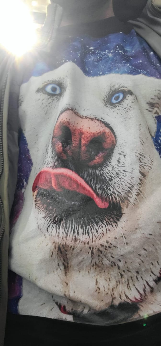 Customer photo review of Custom Pet Art Mens Crew Neck T-shirt