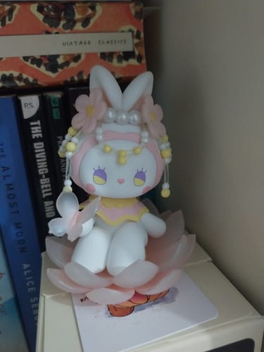 Customer photo review of Emma Secret Forest Dim Lights Series 9 Blind Box