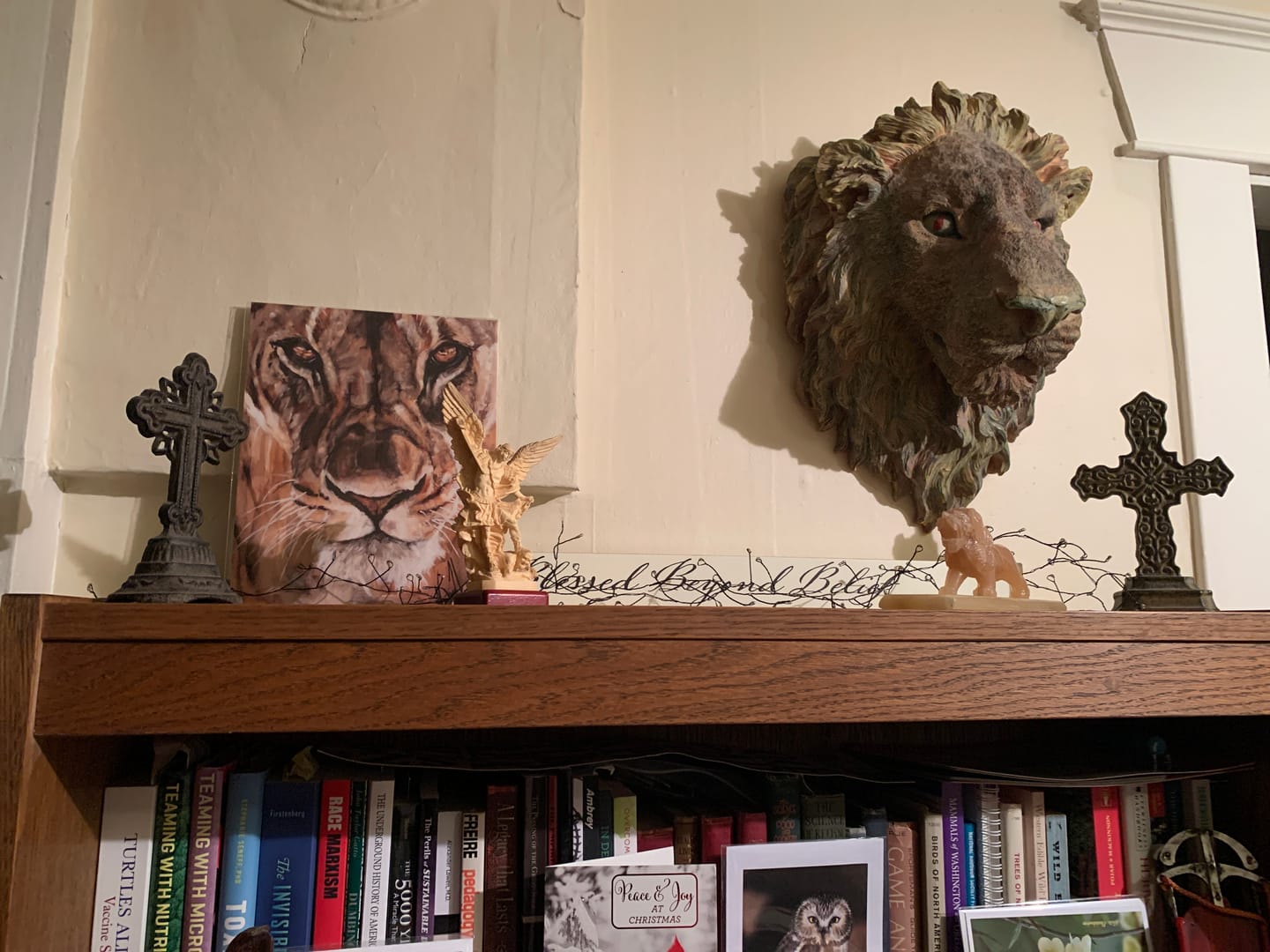 Customer photo review of Prevailing Strength