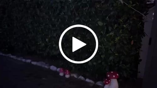 Customer video review of Luce solare a rete