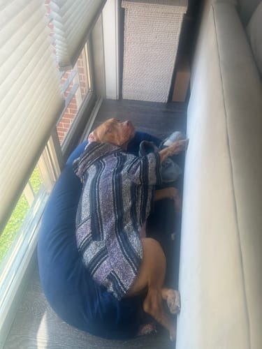 Customer photo review of Playa Poncho - Surprise Color