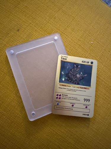 Customer photo review of Pokepet