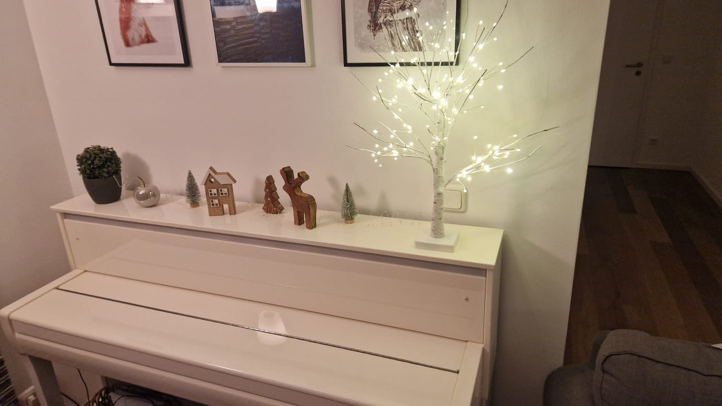 Customer photo review of Bäumlein® - 144 LEDs (Winter Edition)