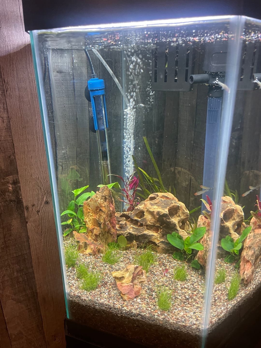 Customer photo review of Scuba Contactless Heaters